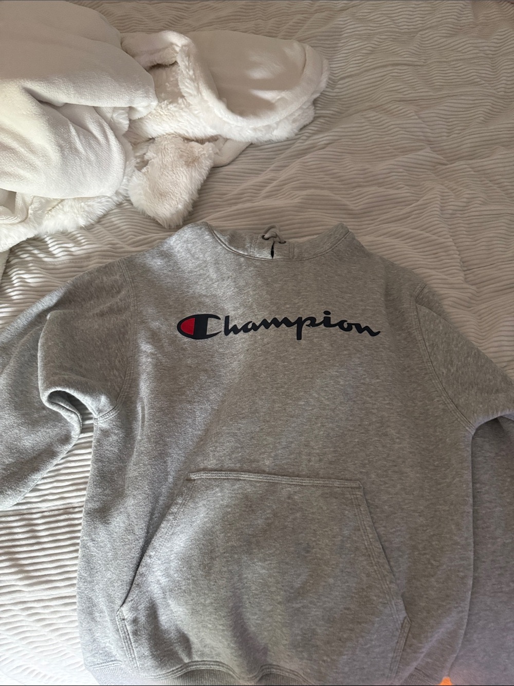 champion hoodie new / small / gray